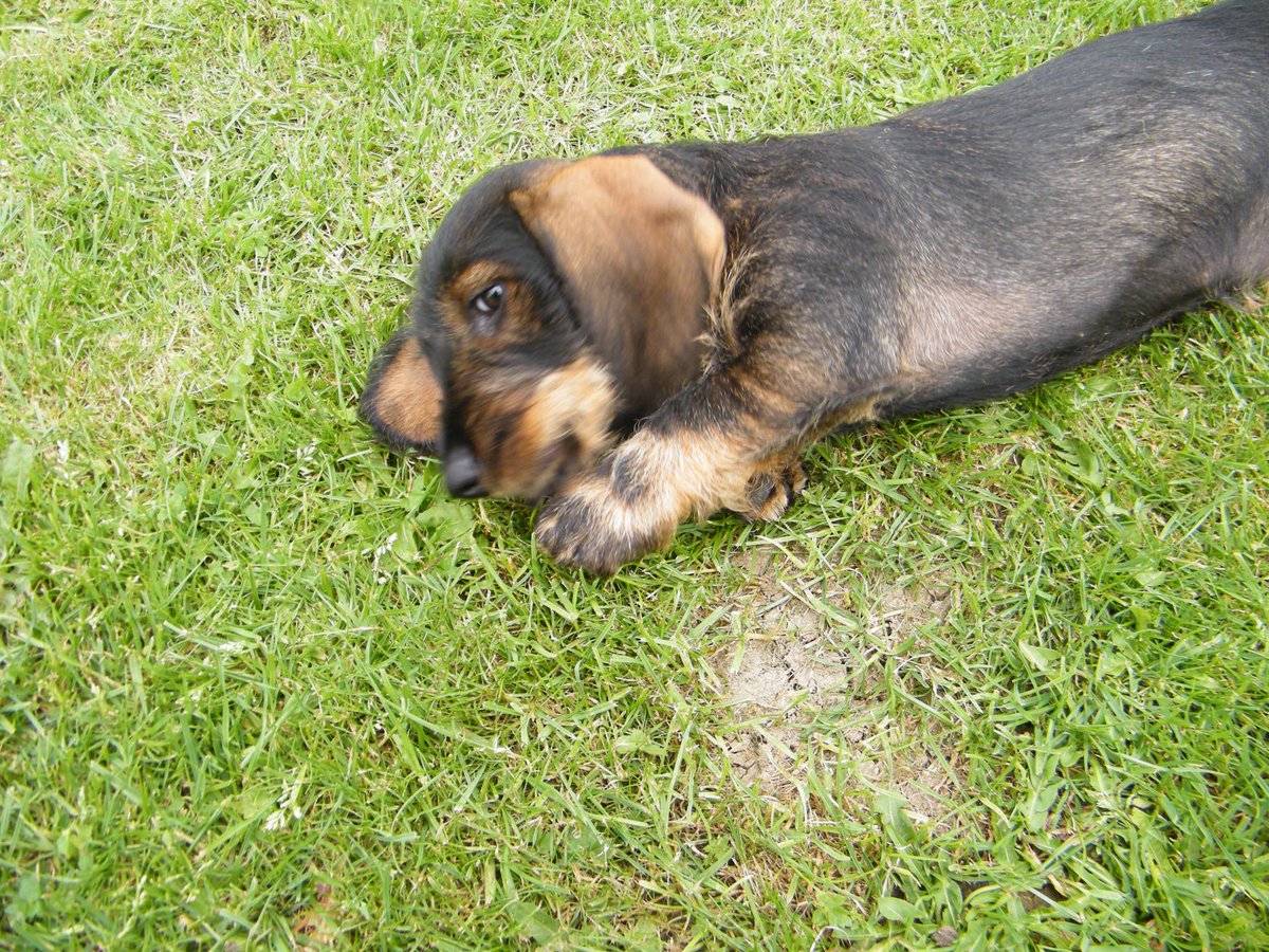 ANITA Gleave tweet media