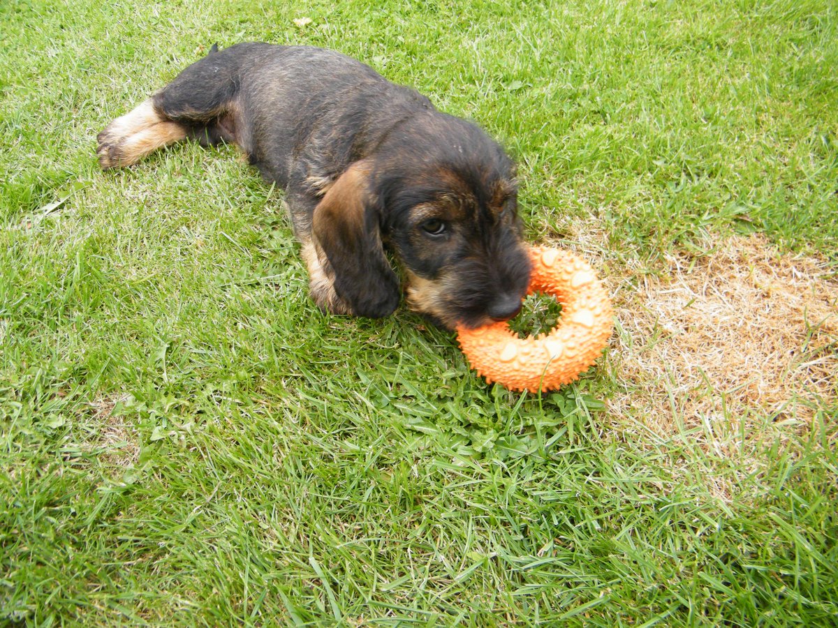 ANITA Gleave tweet media