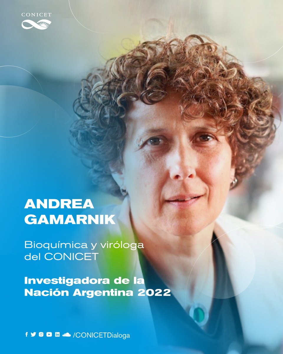 CONICETDialoga's tweet photo. 🔵La investigadora del CONICET Andrea Gamarnik fue reconocida como "Investigadora de la Nación Argentina 2022"🇦🇷
👏El CONICET felicita a los y las investigadores/as del Consejo galardonados/as con los premios Houssay y Jorge Sabato 2022 
Leé la nota ➡️ https://t.co/jBGsXyD6Sf https://t.co/QUwvh2Mbnj