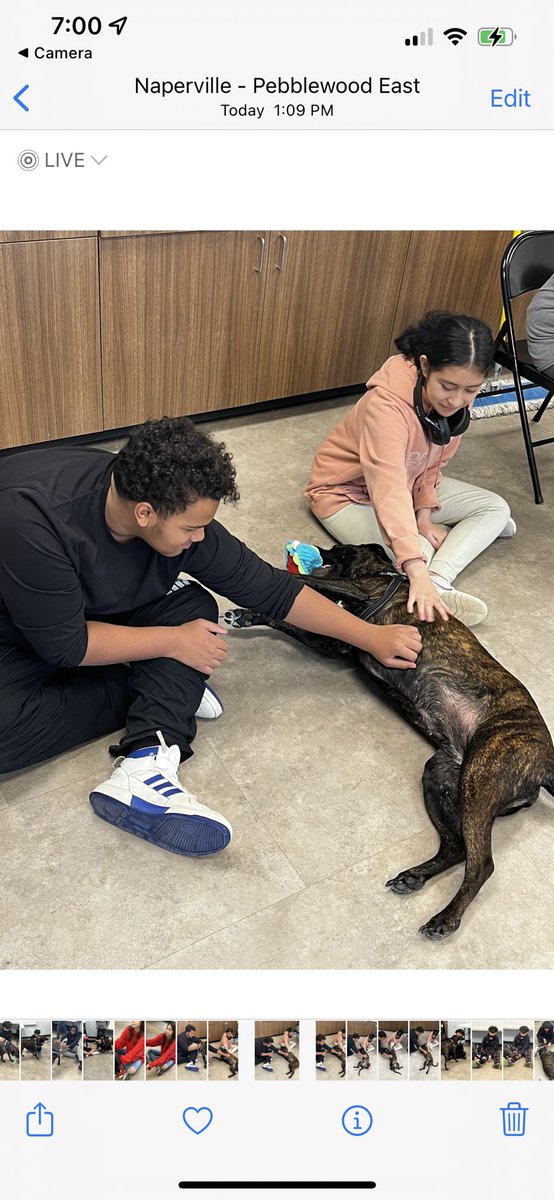 Elizabeth Mancilla tweet media