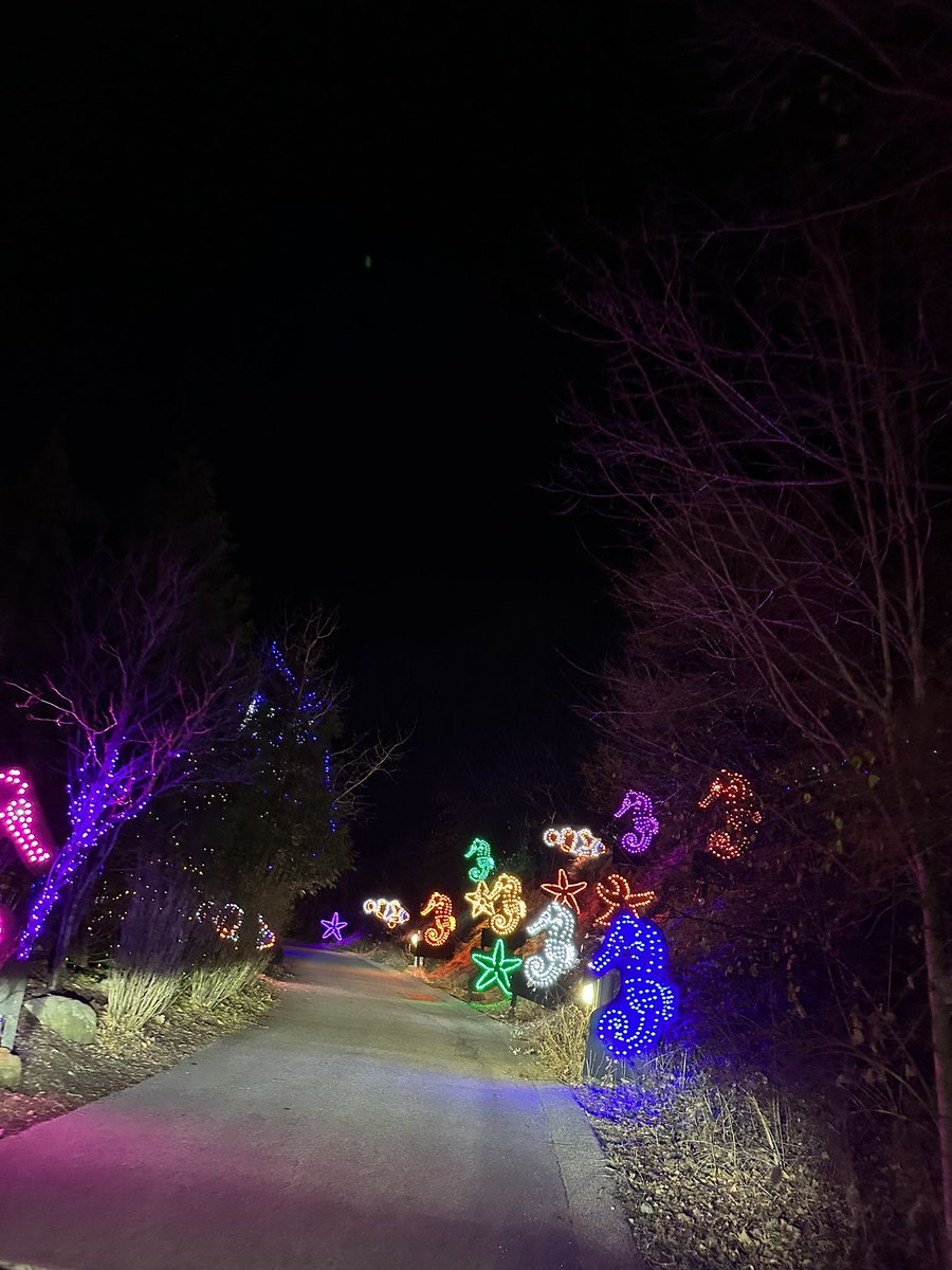 bradbonaroti's tweet photo. β¨Zoo Lights Drive-Thru!β¨π @PghZoo #ZooForAll #MyZoo #412zoo https://t.co/u2ojXgseDJ