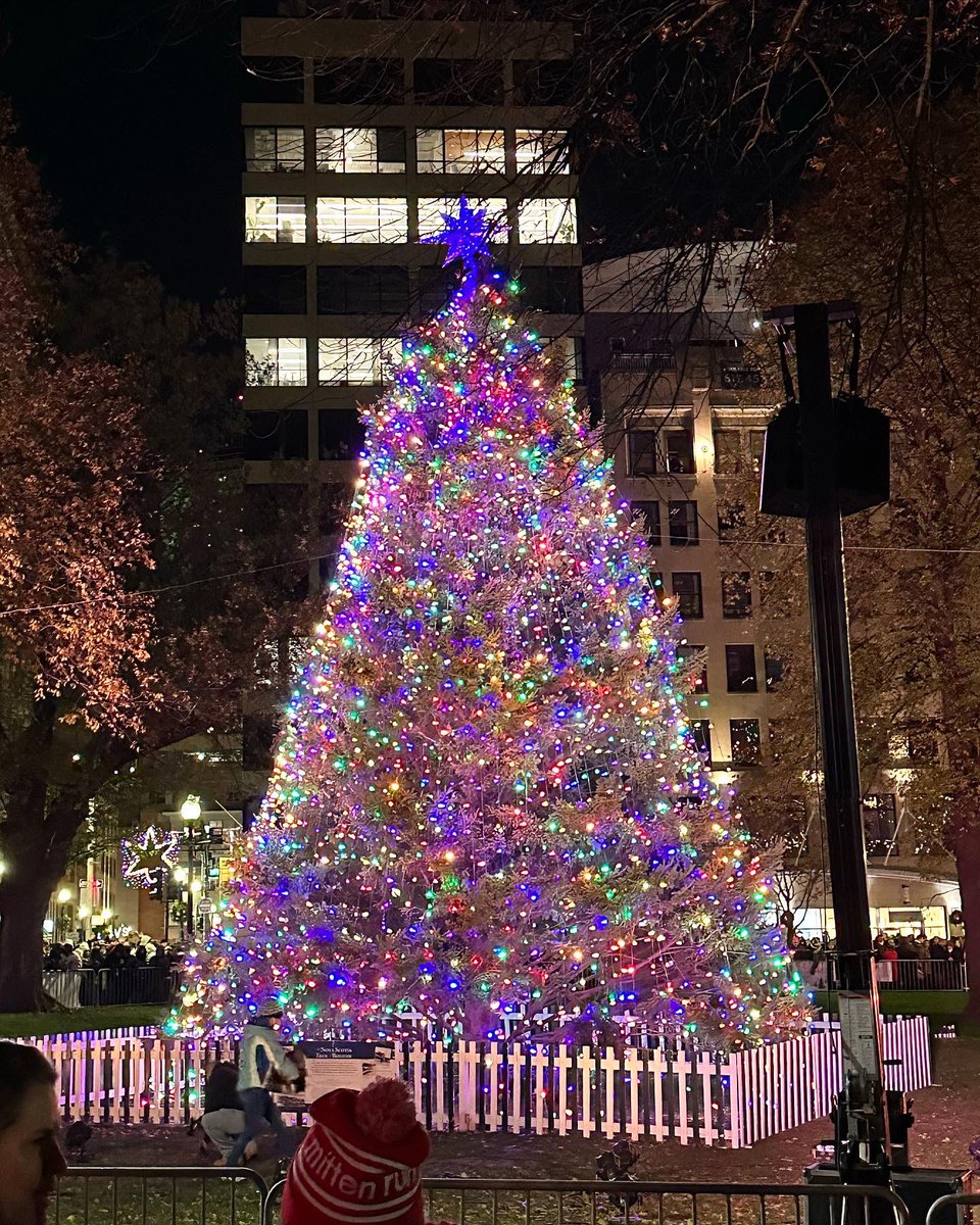 FOPG's tweet photo. Incredible night in the #threeparks yesterday, celebrating the start of the holiday season! 🎄 #bosparks https://t.co/0hh4hd30Tw