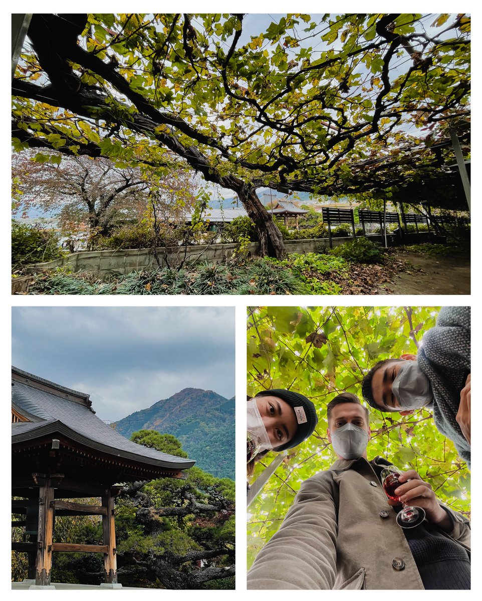 DarykChilds's tweet photo. Wineries and breweries in Japan 🤍 https://t.co/ph1fDq8SI4