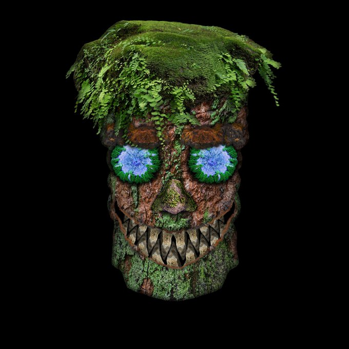 0xSvinci's tweet photo. i call him ripper🫠🔥
#mn369 #WeAre369 @AkuAku369 https://t.co/DBXWfUcPiy