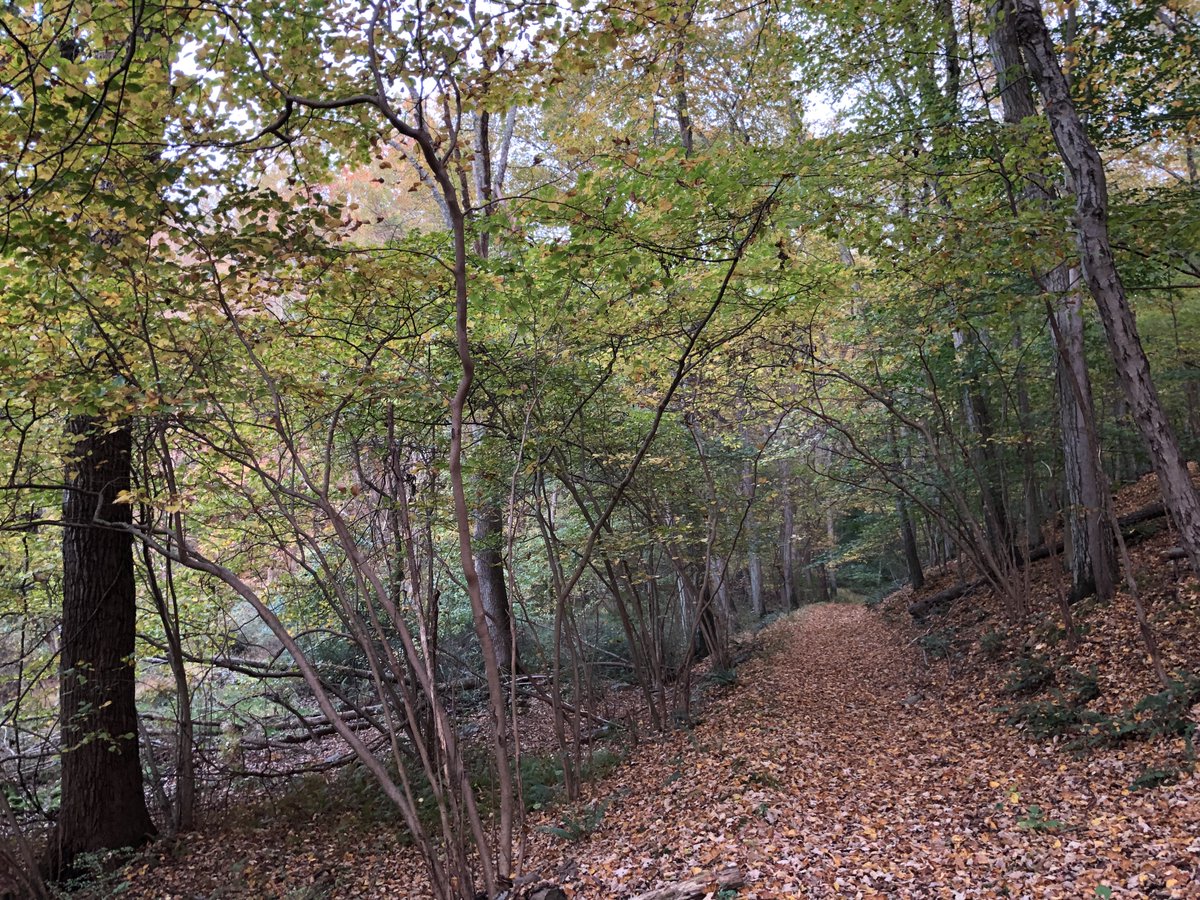 Edward Bradley (@edwardbradley) on Twitter photo 