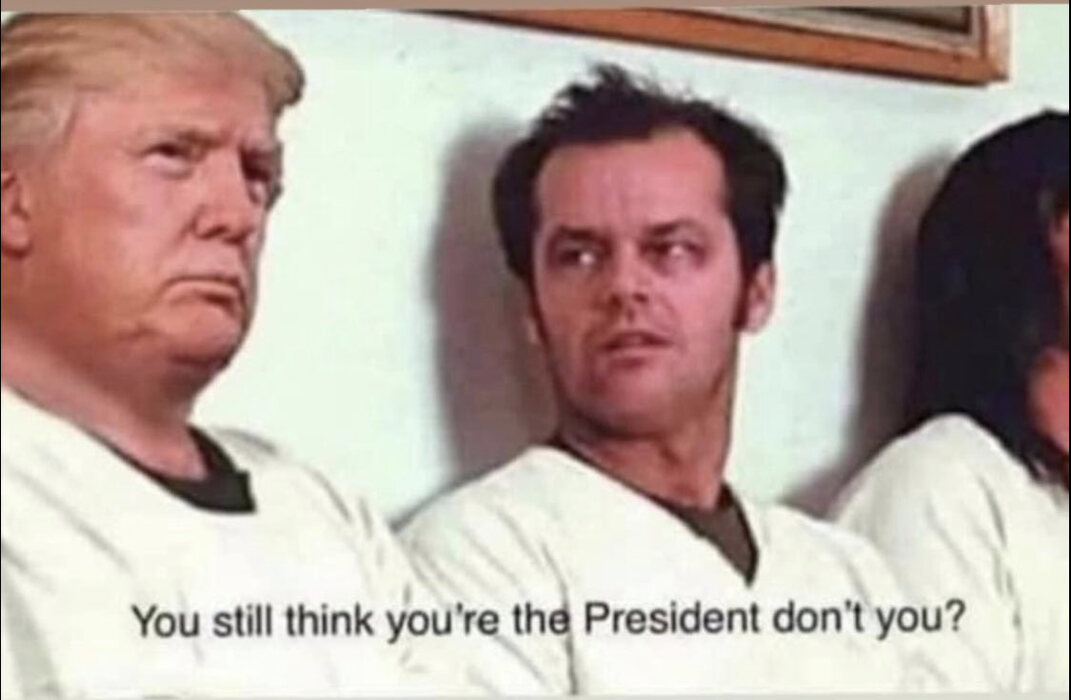 Wise Crapping Rabbit tweet media