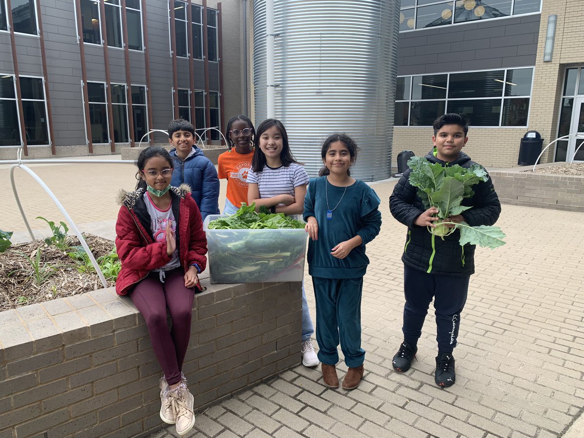 Mrs. Danker (Alberse) tweet media