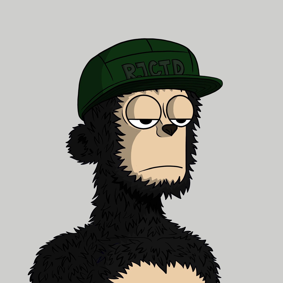 waffloki's tweet image. just want to show some love to my @Rejected_y00ts underrated builders 

STAY RJCTD