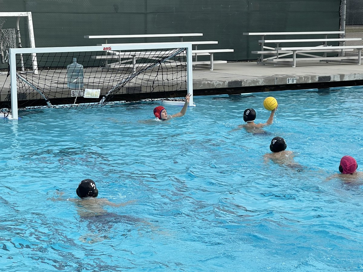 VIDA (6-8 Magnet) tweet media