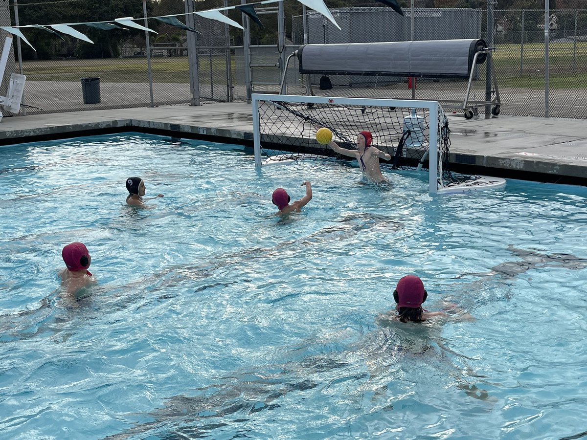 VIDA (6-8 Magnet) tweet media