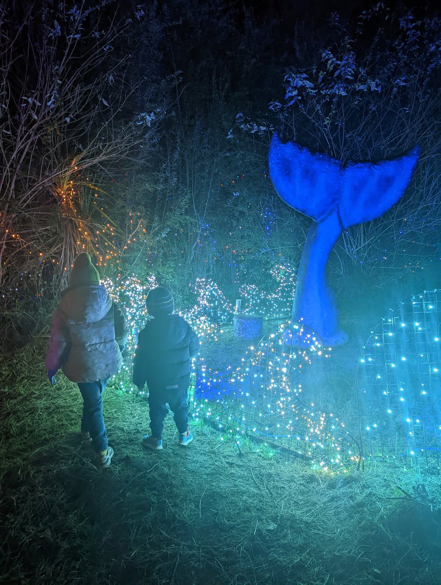 Sarah Fitzpatrick tweet media