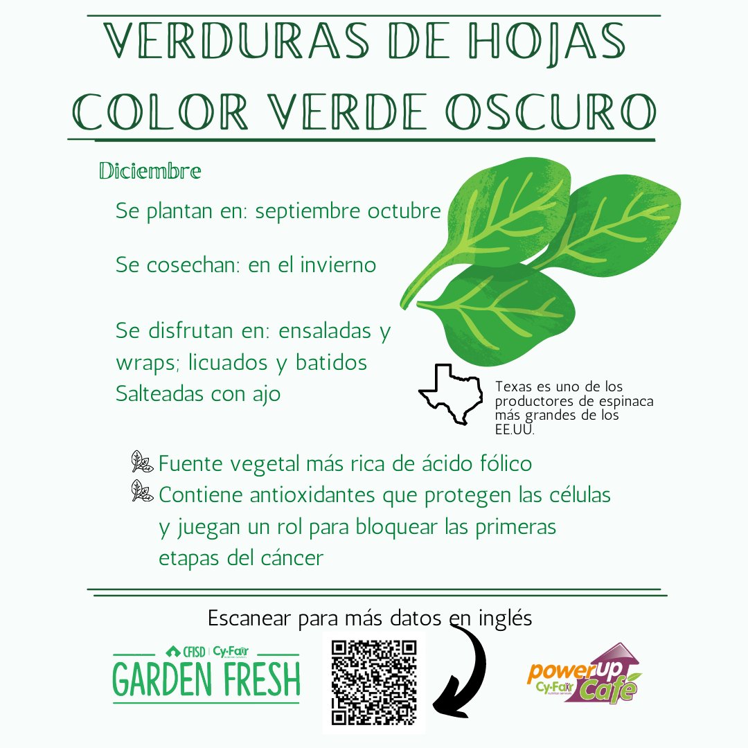 CFISD en Español tweet media