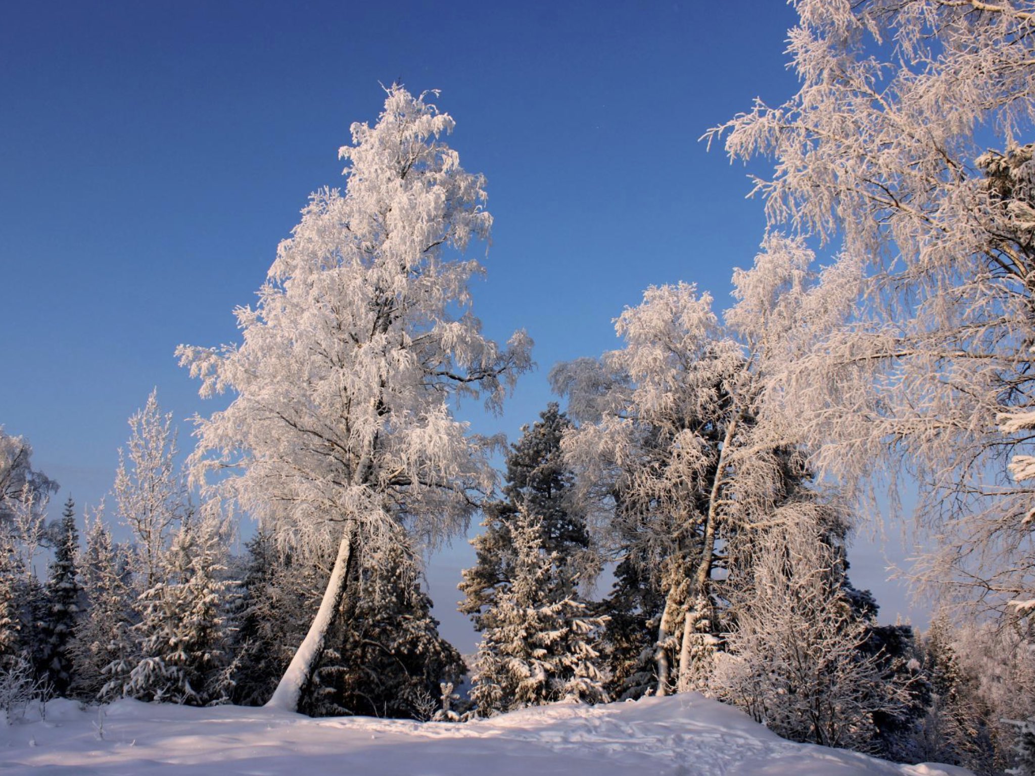 FjACd3TXEA0doKo?format=jpg&name=large