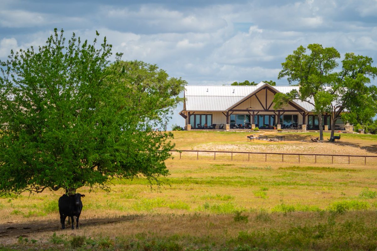 landreport's tweet photo. FOR SALE
Rolling Oaks Ranch | Burton, TX - $10,750,000
Listed with @RepublicRanches
https://t.co/Fhy3xZtqtN
#land #landforsale #landsales #buyland #buymoreland #investinland #landreport #texasranchland #ranchland #texaslandsales #republicranches #texas https://t.co/Tu2vqdaS8G