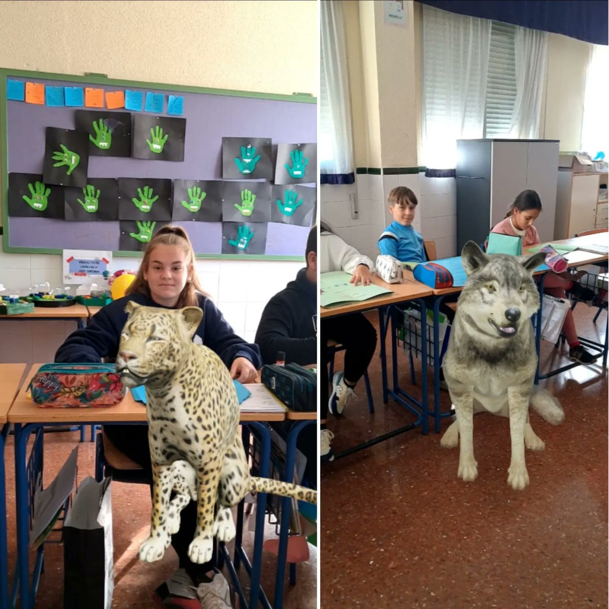 CEIPCupiana's tweet photo. Trabajamos la clasificación de los seres vivos, profundizando en especies en peligro de extinción, algunos nos han acompañado en clase. @educacionenmlg @EducaAnd https://t.co/meEyKEgmFa