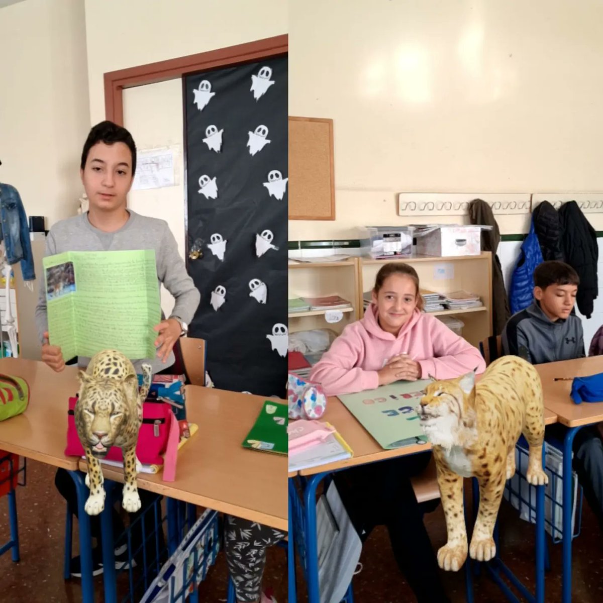 CEIPCupiana's tweet photo. Trabajamos la clasificación de los seres vivos, profundizando en especies en peligro de extinción, algunos nos han acompañado en clase. @educacionenmlg @EducaAnd https://t.co/meEyKEgmFa