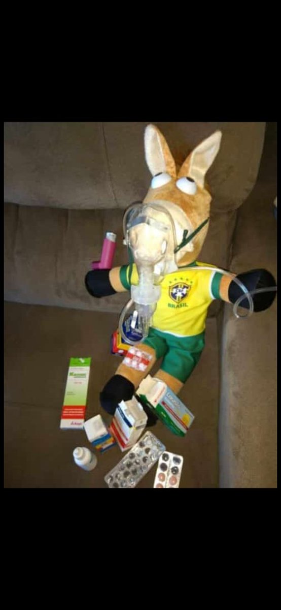 Morpho Aurora tweet media