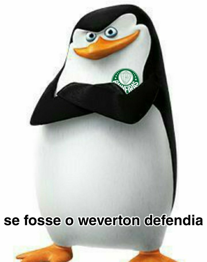 Luccas Melo tweet media