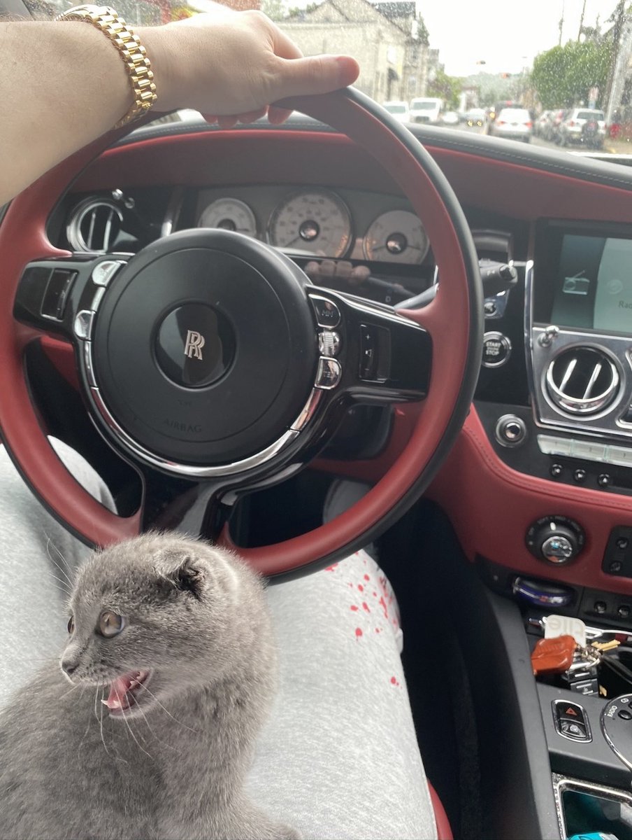 MobiStar🎖️ ✰✰✰ tweet media