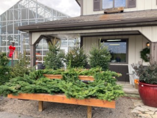 Meadow_View's tweet photo. Fill your porch pots with evergreens to keep your garden fresh even in winter. 

#ChristmasDecorating #MVGChristmas #Wreath #Evergreen #christmasdecor #HappyHolidays #christmasiscoming #christmasspirit   #christmasseason #christmasinspiration #holidayseason #holidaydecor https://t.co/ivruIDzKQm