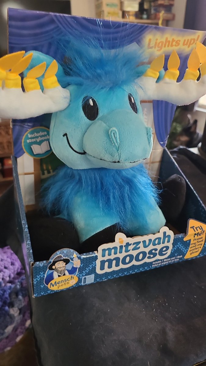 Got a Mitzvah Moose #mitzvahmoose cause f*ck antisemitism.