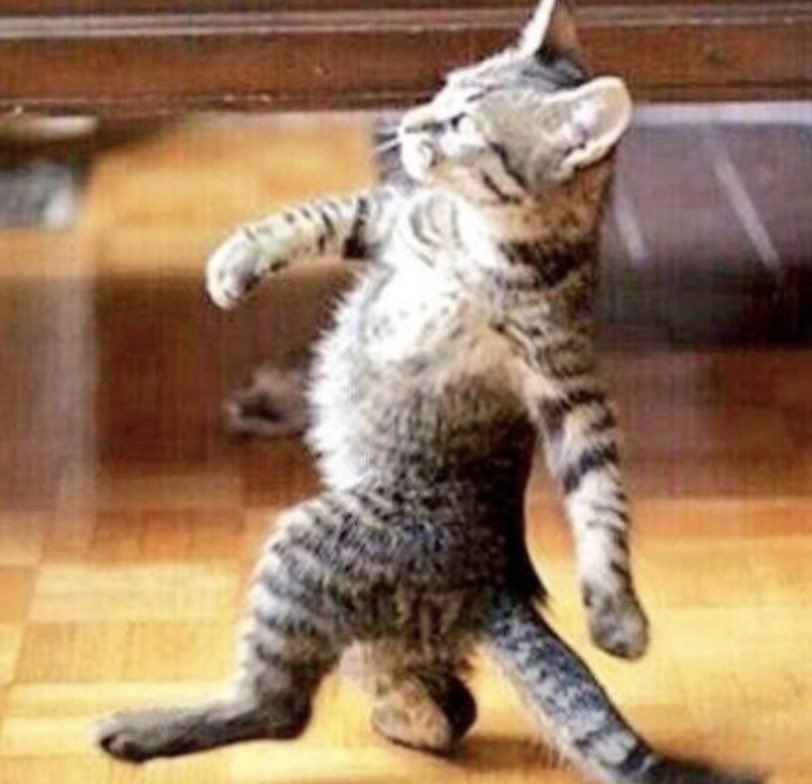 kakurugodwin_'s tweet image. Aboubakar right now 😂   #CMRBRA