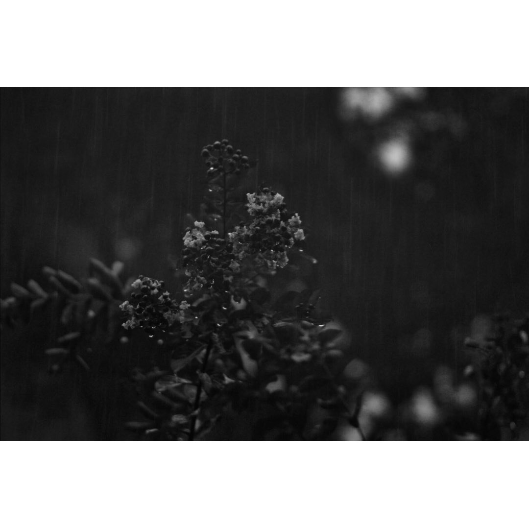 Georgia Connections tweet media