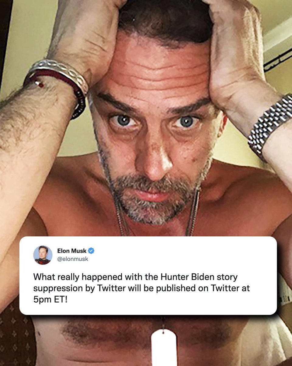 ELON MUSK IS GOING TO DROP THE HUNTER BIDEN FILES 🗂️

Details will be on this thread 🧵