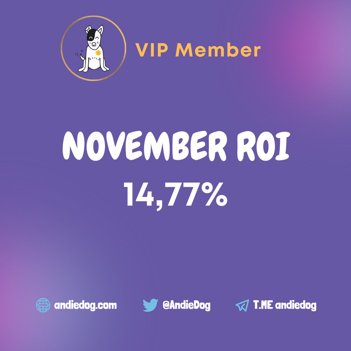 NOVEMBER #ROI was 14.77% 🚀

If you want to enjoy the advantages of being a VIP member you can register on our website, don't miss this opportunity!

✨ andiedog.com/vipmember ✨

#cryptocurrency #crypto #andiedog #VIP #BTC #BNB #USDT #Bitcoin