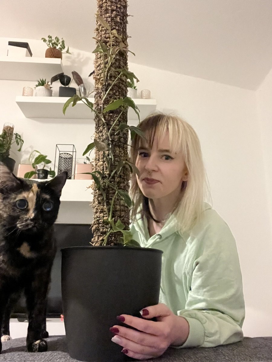 SplitDye_Plants's tweet photo. Happy planty Friday 💚🪴#planttwitter https://t.co/p08wx9WgZo