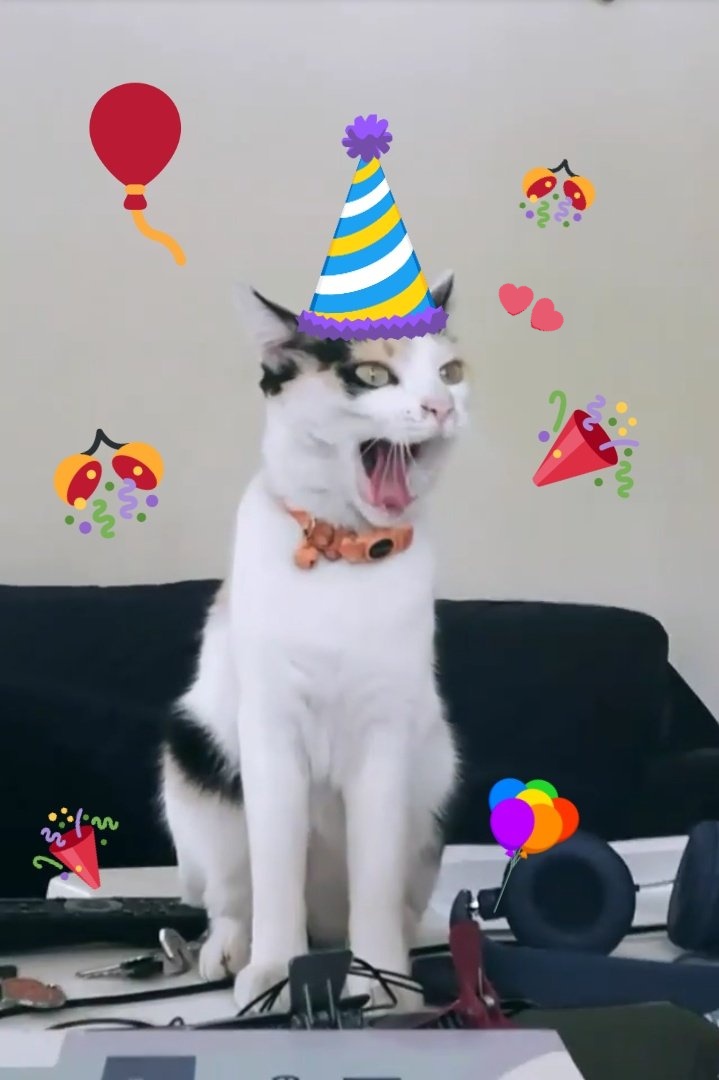 Mionegirlcat's tweet photo. @jaymanji_ HAPPY BIRTHDAY 🎉🎉🎉🎉🎉 https://t.co/jRjH3E7ruh