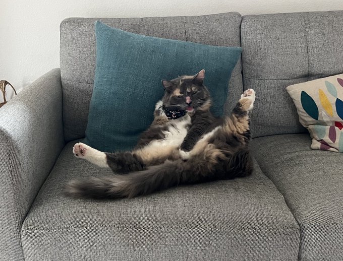 Current mood. https://t.co/3iqkGZ5QYx