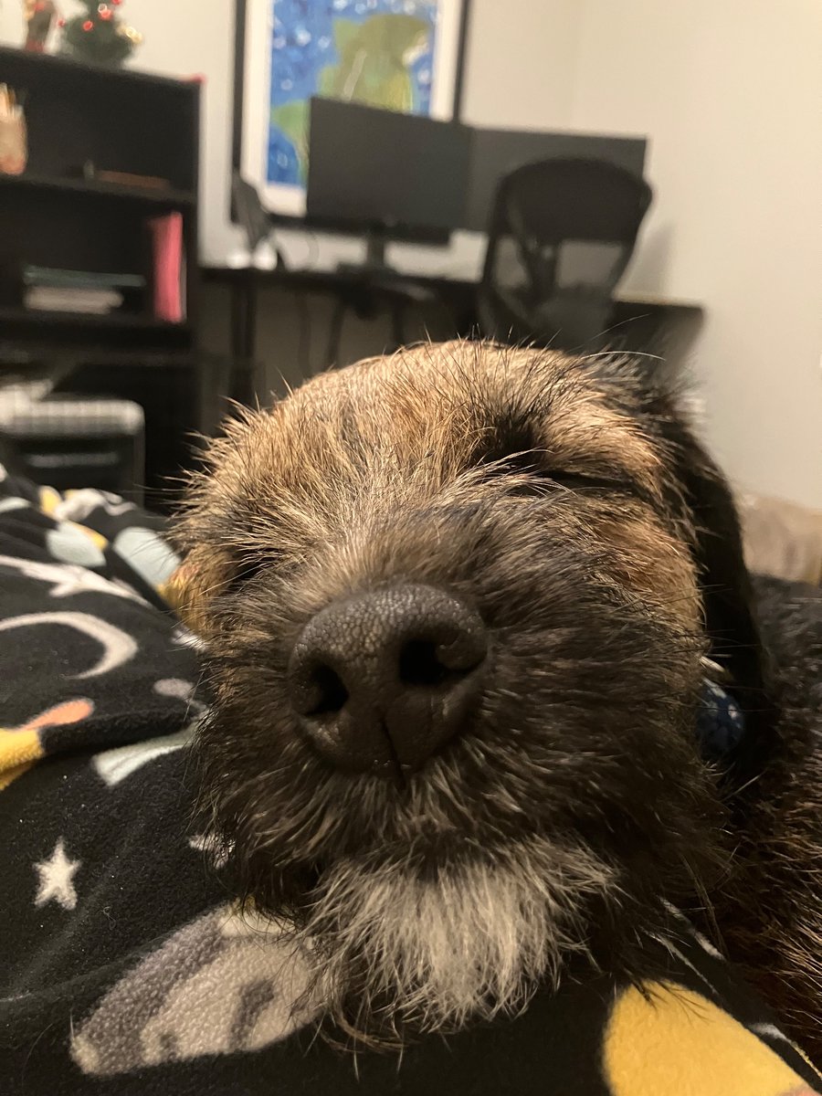 Photo of the day #BTPosse