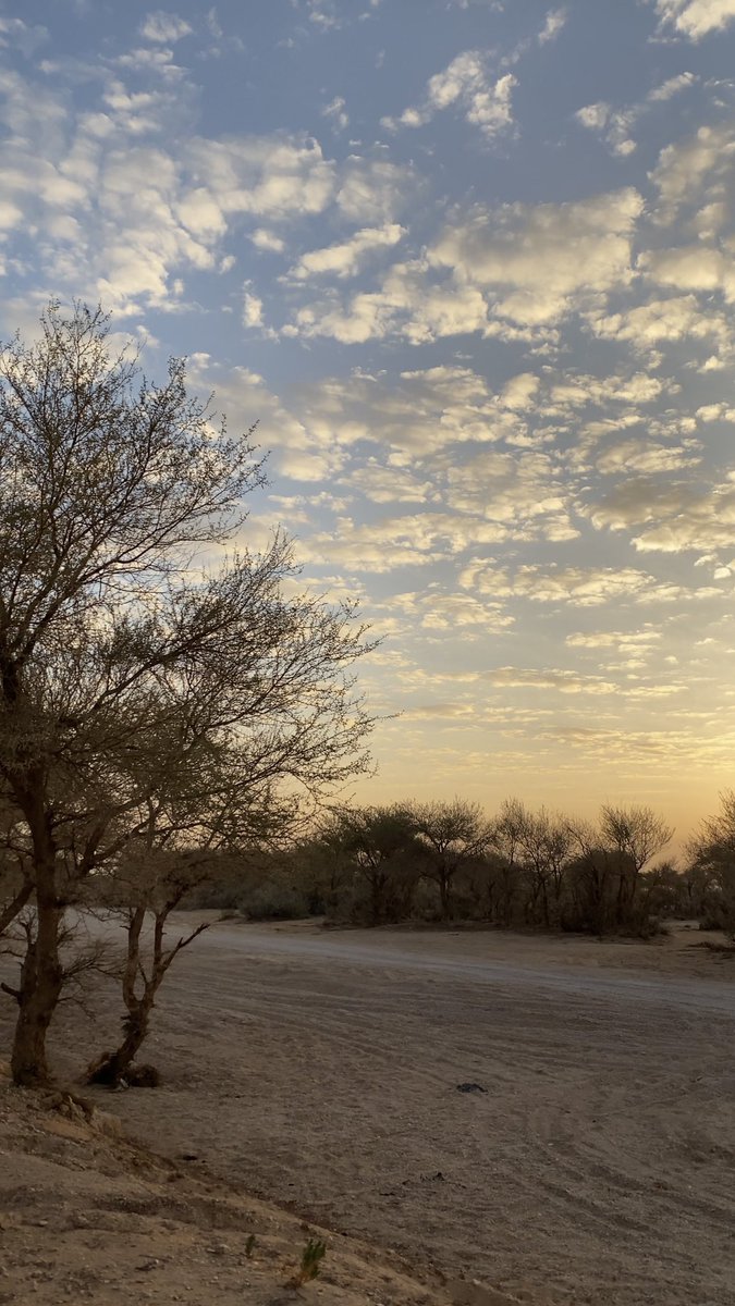 e8vvv's tweet image. ناس في المدل بيست وناس تسب المدل بيست وانا هنا 😮‍💨🤍

#مدل_بيست 
#MiddleBeast