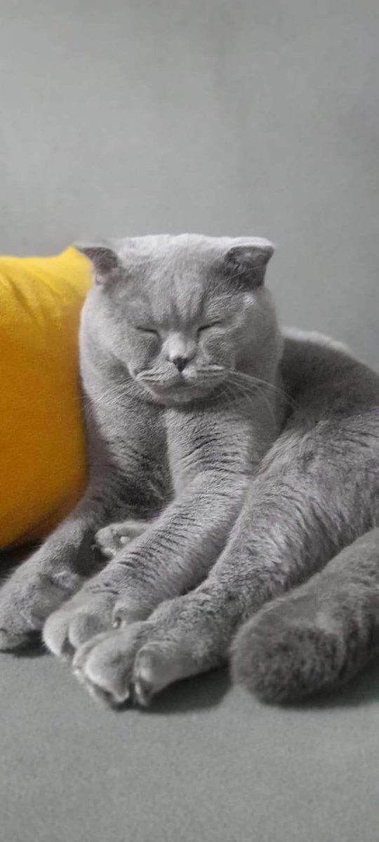 Keyfimiz ellere dert olmuş !