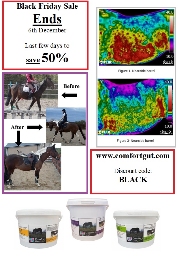 #EmeraldBalms can be applied in a thin, even layer as necessary to animals with minor scratches, rubs, cuts, abraded or scabbed skin; while soothing for muddy periods, it has useful fly repellent properties #horsechathour #comfortgut #dressagehour #equestrianlife #ruralbloggers