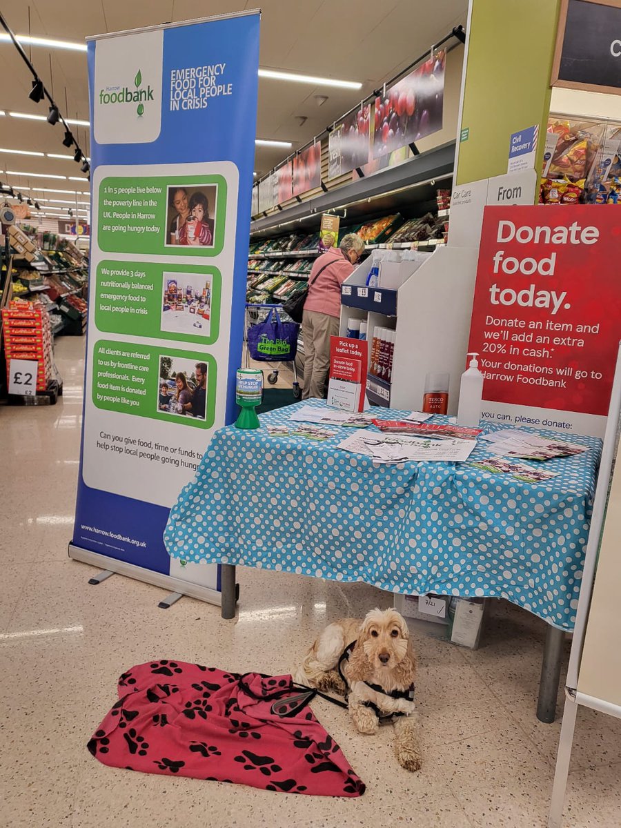 Look at our wonderful volunteers for our Tesco food collection, including Flora the dog! 🐶 <a href="/Tesco/">Tesco</a> @TrussellTrust We are still collecting donations tomorrow too, so give us a visit and donate if you can! #EveryCanHelps