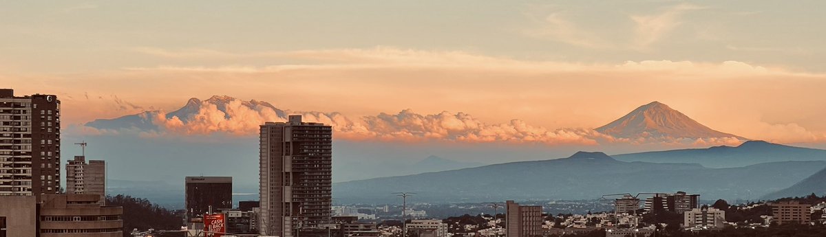 <a href="/Lycaones/">Lycaon ࿓</a> 😍