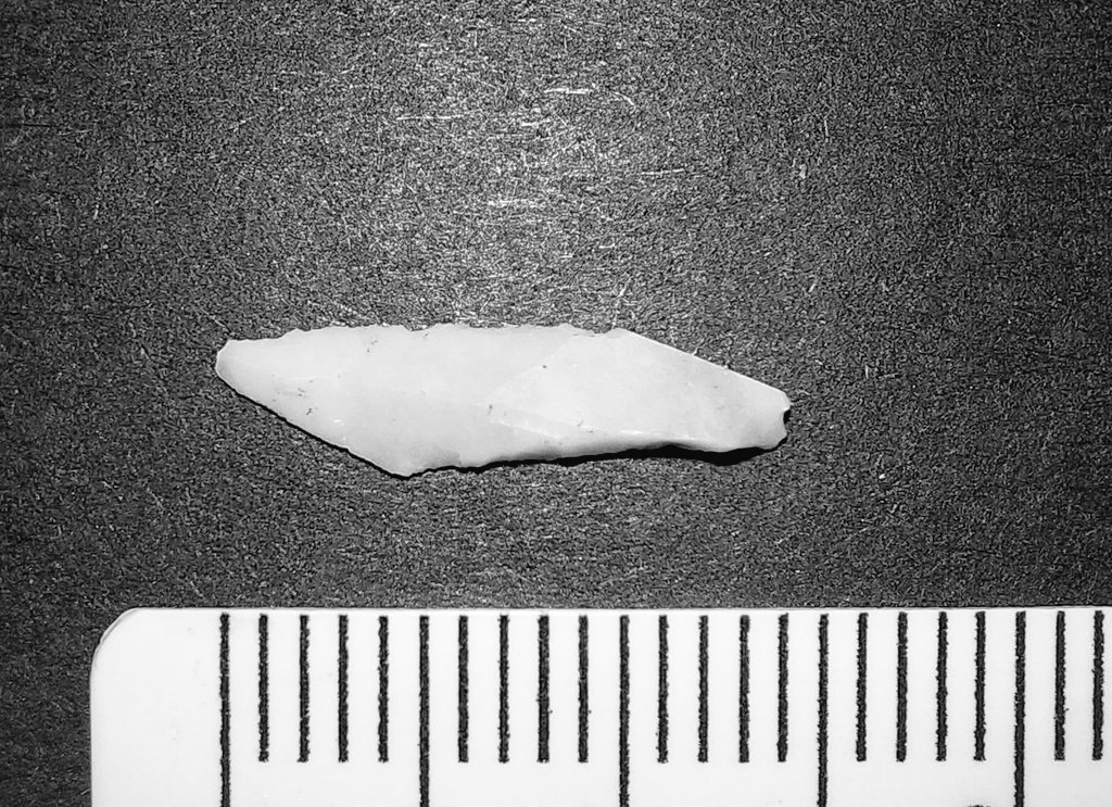 A wonderful mesolithic microlith I found in the hills above Glossop recently. It would have been one of a dozen or so attached to a spear. Careful retouching to make a serrated edge can be seen clearly, the result of human action from 8000 years ago. Stunning. #Archaeology