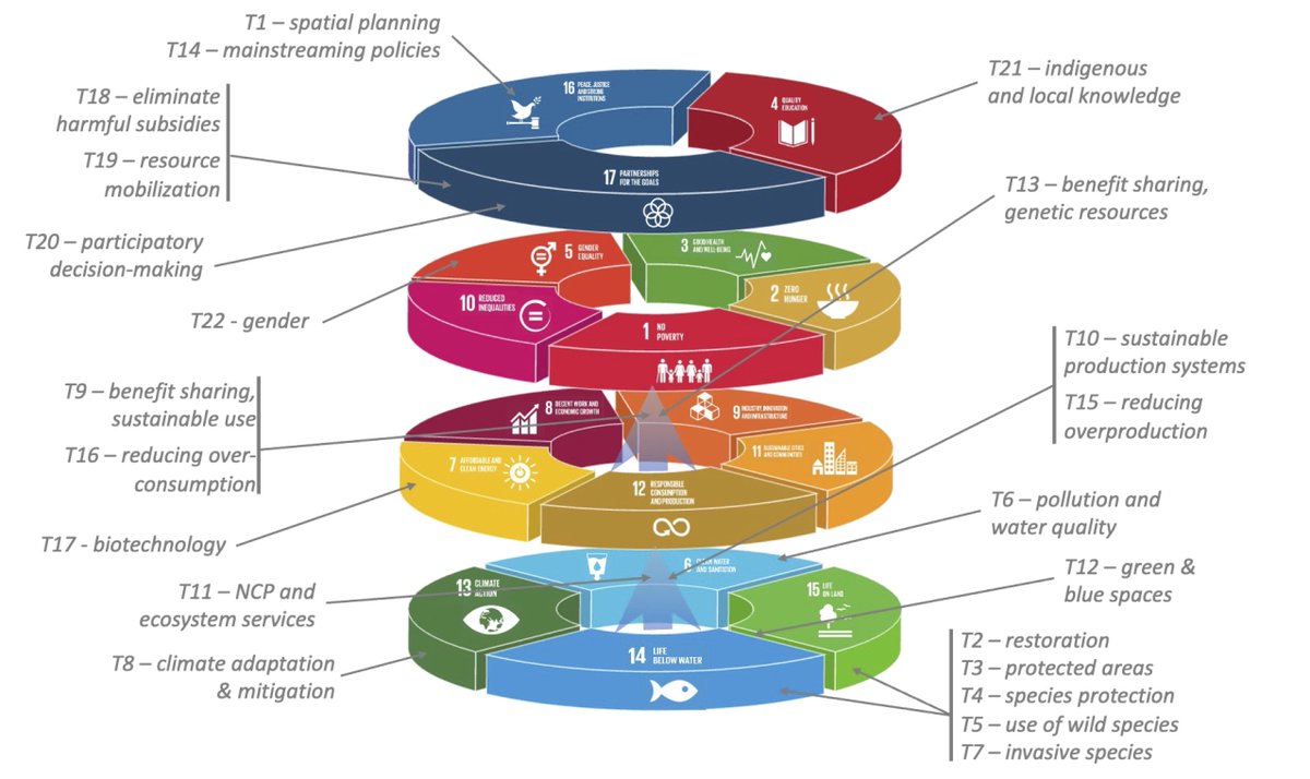 dobura's tweet photo. Really enjoyed working on this paper with @SebastienTreyer and his great team @IDDRI_ThinkTank - on linking the #sharedearth approach with Elinor #Ostrom’s #Commons principles to put #biodiversity at the heart of the #sustainabledevelopment in #africa https://t.co/M5GlvlUFfX https://t.co/t3UEV9Wzaq