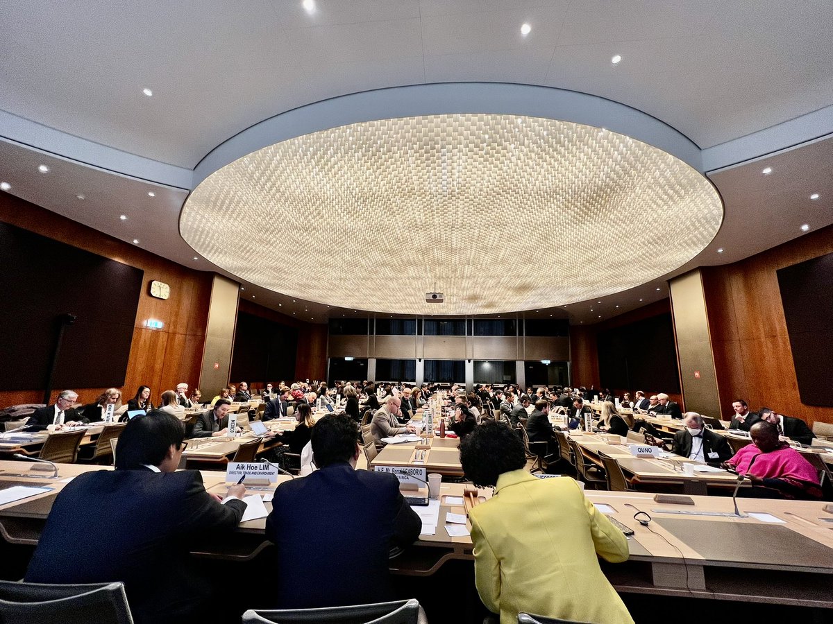 Any #trade geeks around? Today #CostaRica + #Canada cohosted a high-level event as chairs of #TESSD in Room W @ <a href="/wto/">WTO</a>. If you know the place, you know this is a full room! 💪🏻 We are listening!!! Thank you for all your support! 🙏🏻