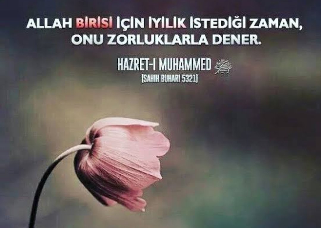 Zeynep Günder 🇹🇷 (@zeynepgunderr) on Twitter photo 