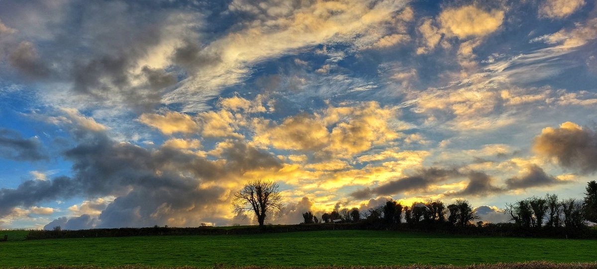 Patrick Kenealy tweet media