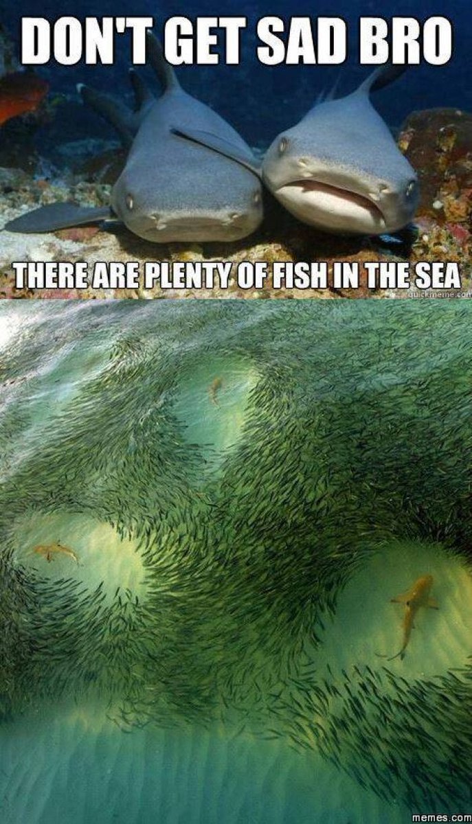 _M2k3y's tweet photo. It's too easy to just move on. Never chase, there are plenty of other fish in the sea!!😁 https://t.co/6WcQHe9m01