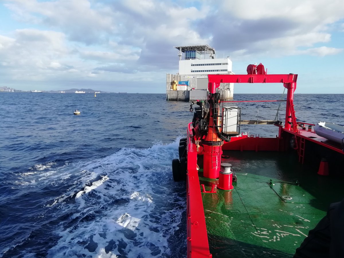 Filipe Alves tweet media