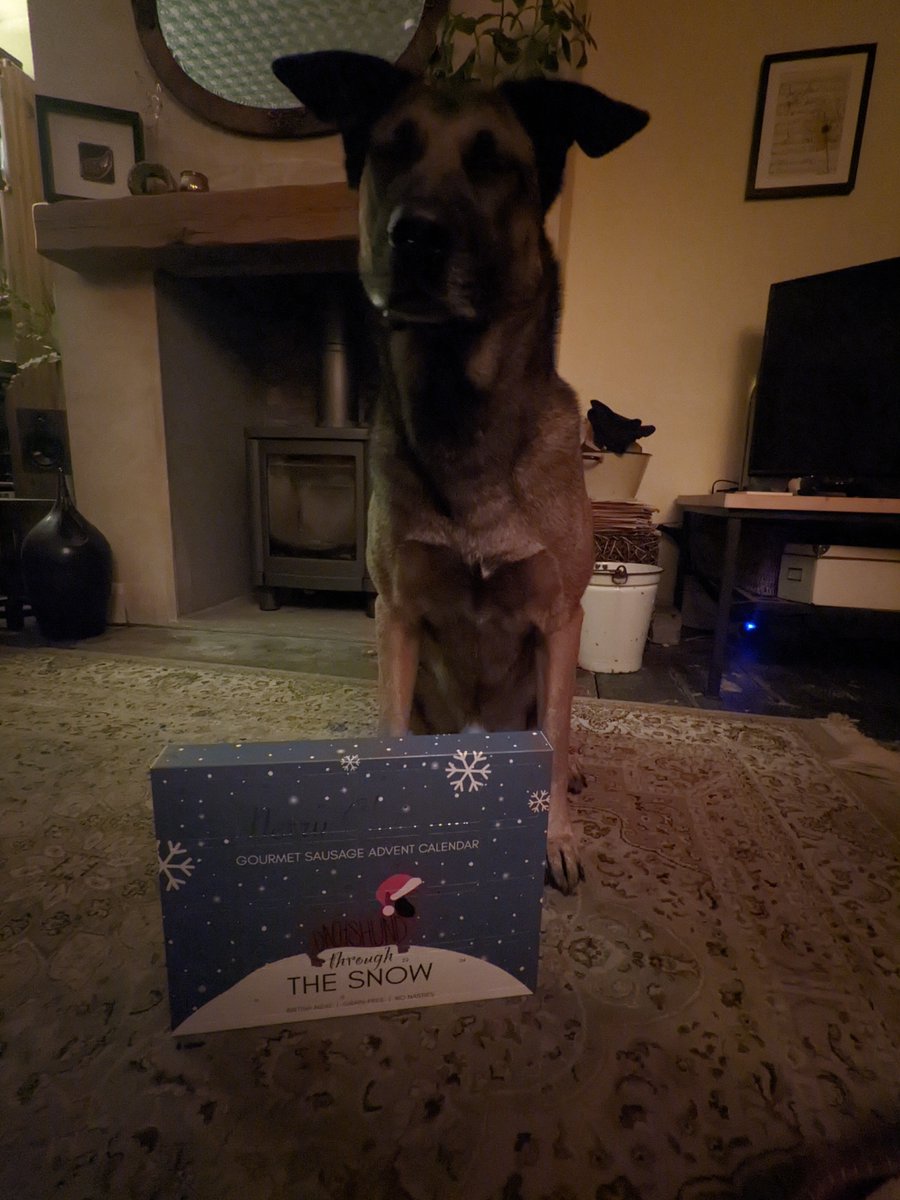 A day late opening my advent calendar. Call the RSPCA!