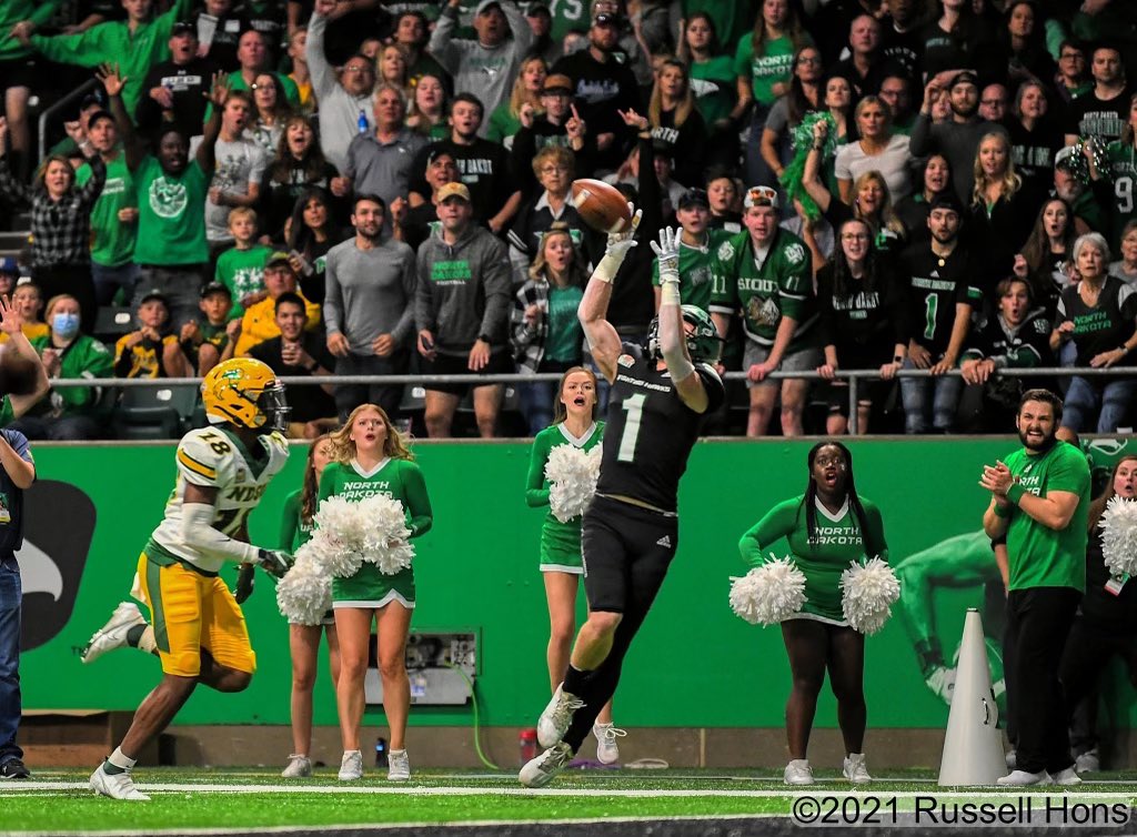 Michael Gross tweet media