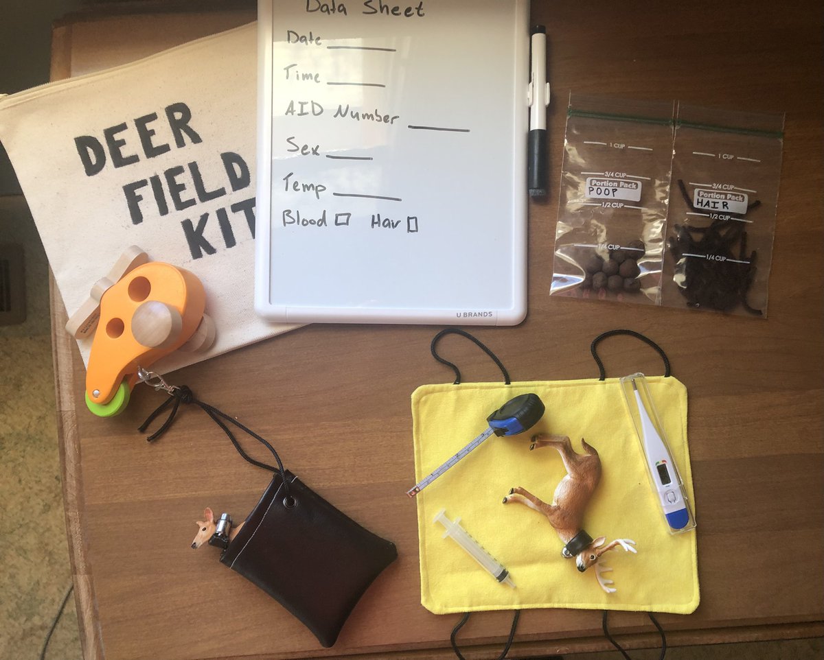 emilynreed's tweet image. My colleague is having a baby and ya know what that means… I had an excuse to make a new and improved version of my toy deer capture kit (although this is more of a gift for their 3 yo) 🦌🦌 also plz note that is not real deer poop 🤠