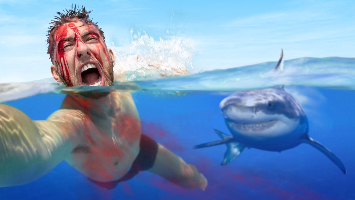 daratah's tweet photo. I just released by far my biggest video. This has been in the making for 5 months…

I Swam With Sharks, Covered In Blood! https://t.co/WLV2C00wyX