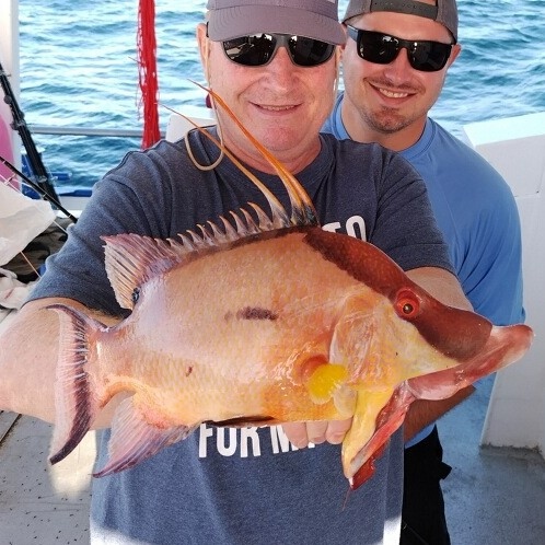 FlGuidesAssoc's tweet photo. Looking to get on the water? Our website will help you find your FGA guides in your area, or the area you plan to visit!
https://t.co/SpT04MZueb #FloridaGuidesAssociation
.
.
.
.
.
#FGA #FloridaGuides #Fishing #FloridaFishing #Hunting #FloridaHunting #ReturnEmRight https://t.co/9s2hBQcmDo